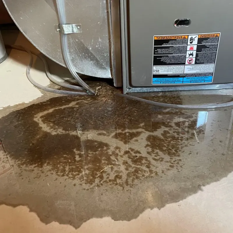 Pipe Burst and Leak Restoration in Shoshone County, ID