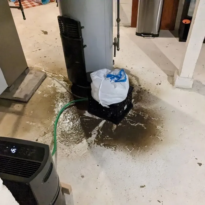 Sewage Backup Cleanup Service in Shoshone County, ID